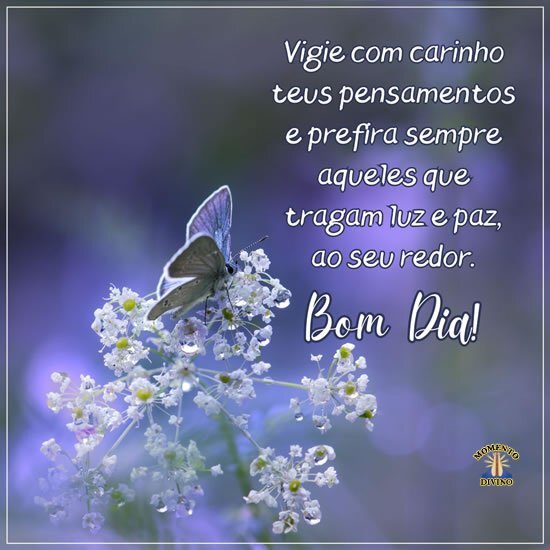 mensagem de bom dia com carinho