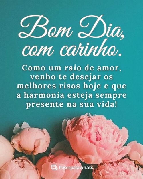 Frases de Bom Dia para Começar a Semana com Positividade
