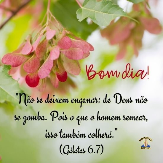 mensagens bíblicas de bom dia vs. mensagens motivacionais