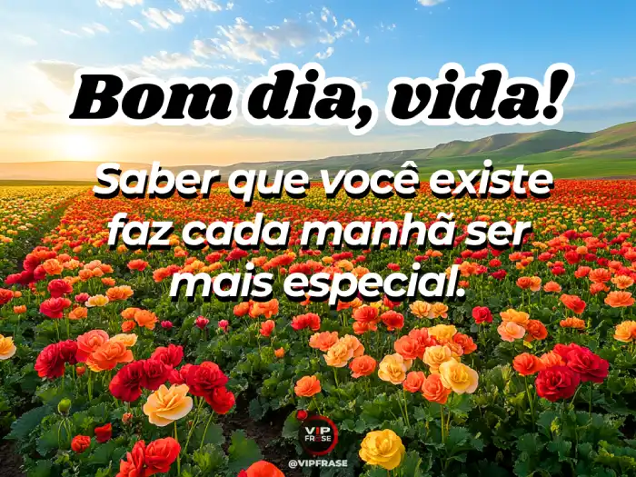 mensagem de bom dia especial