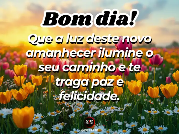 mensagem de bom dia para mulher especial