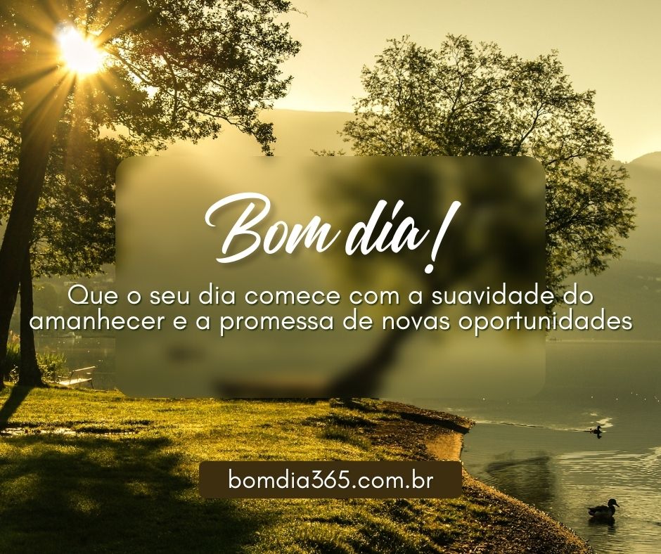 bom dia lindas frases