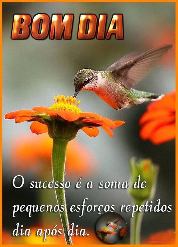 bom dia inspirador para ela