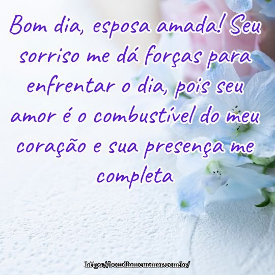 erros ao enviar mensagem de bom dia para esposa