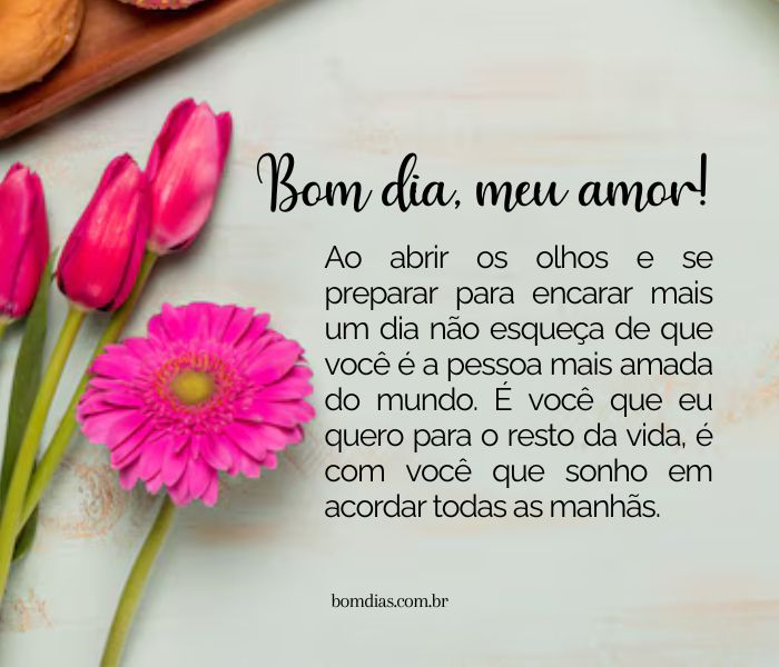 mensagem de bom dia para esposa vs namorada