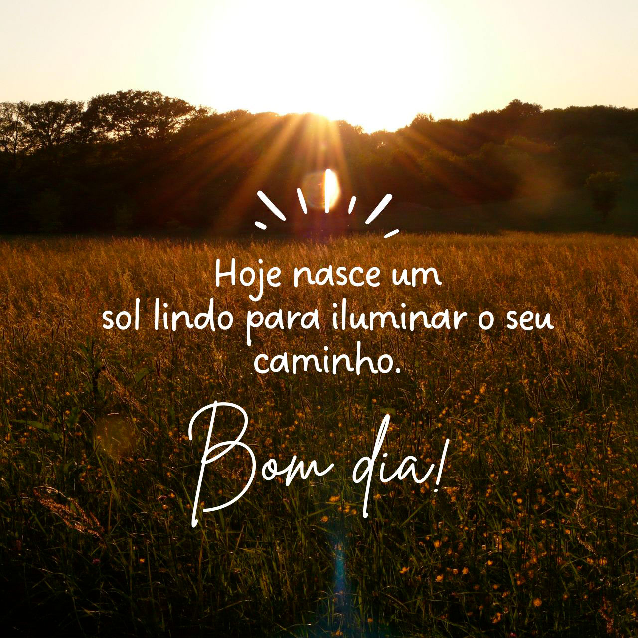 mensagens de dias ensolarados