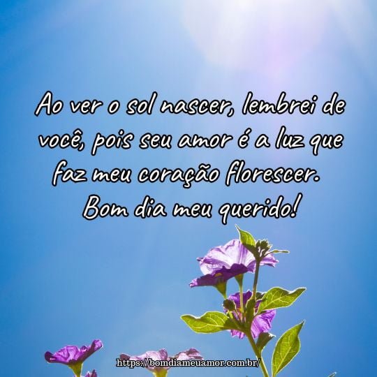 frases de girassol e sol