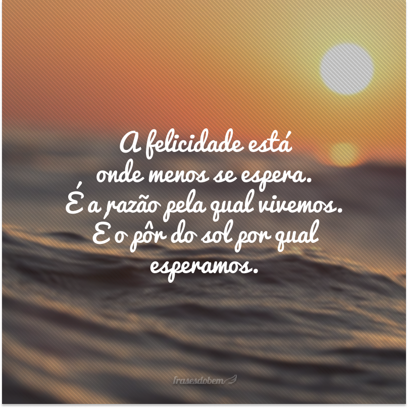 frases de girassol e sol