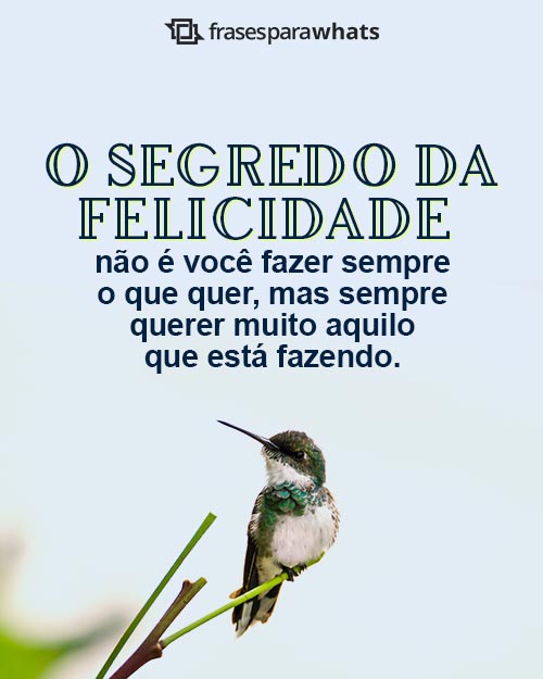 frases curtas de motivação para estudar