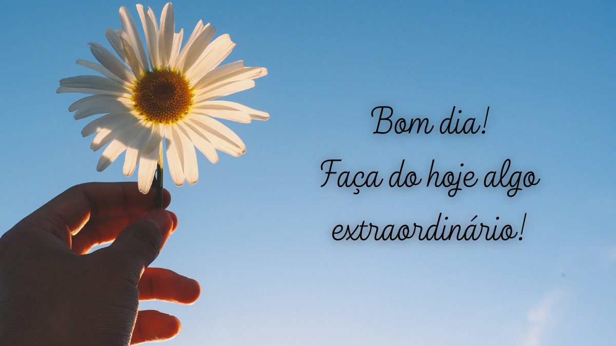 citações curtas de sucesso