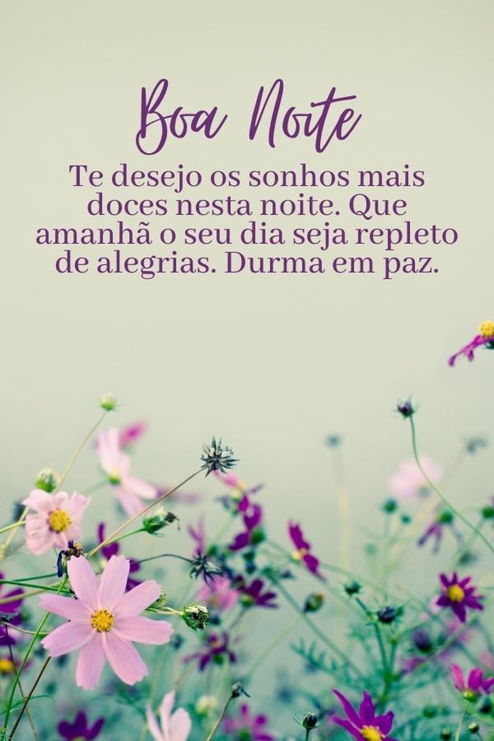 mensagens de boa noite abençoadas para familia