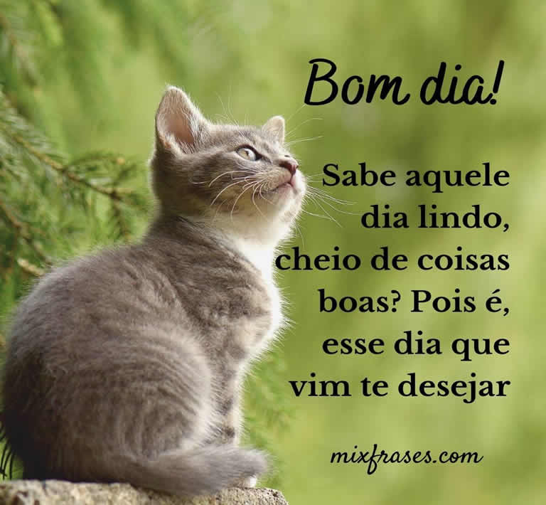 bom dia para status whatsapp