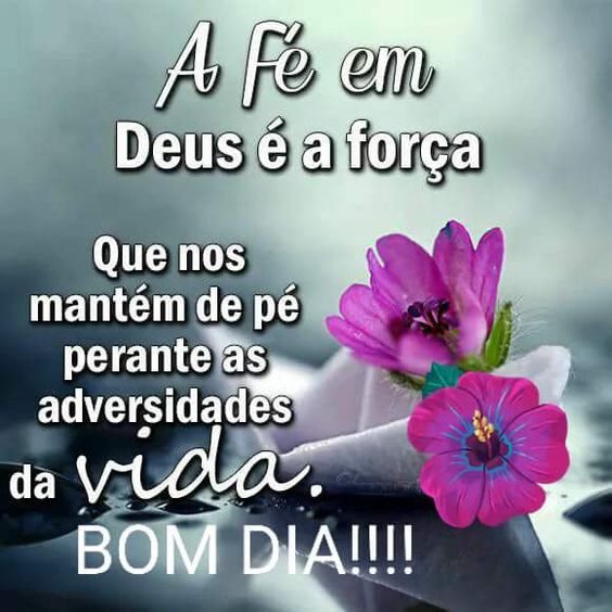 frases de bom dia para amigos whatsapp