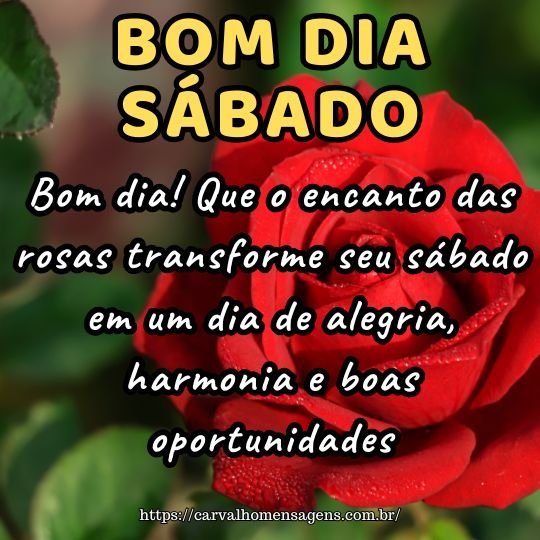 frases curtas para status de sábado