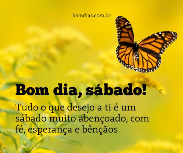 reflexões para o sábado