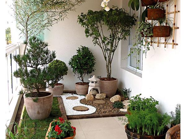plantas ideais para jardim de inverno com pouca luz