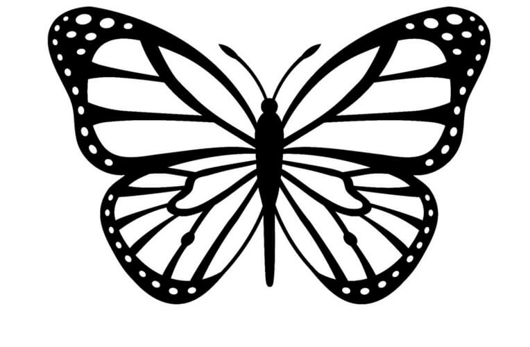 molde borboleta simples