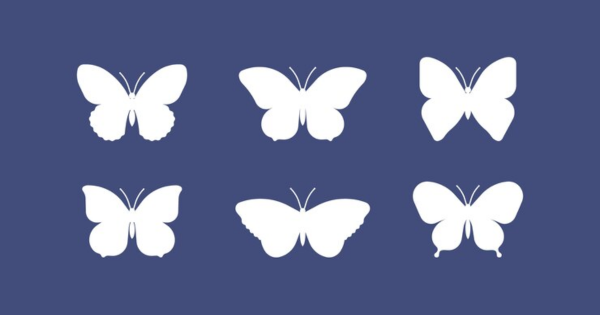 molde borboleta para aplique