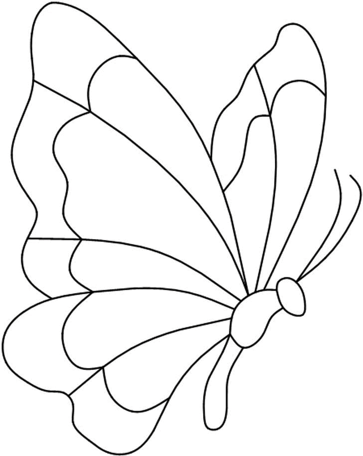 molde borboleta para pintura