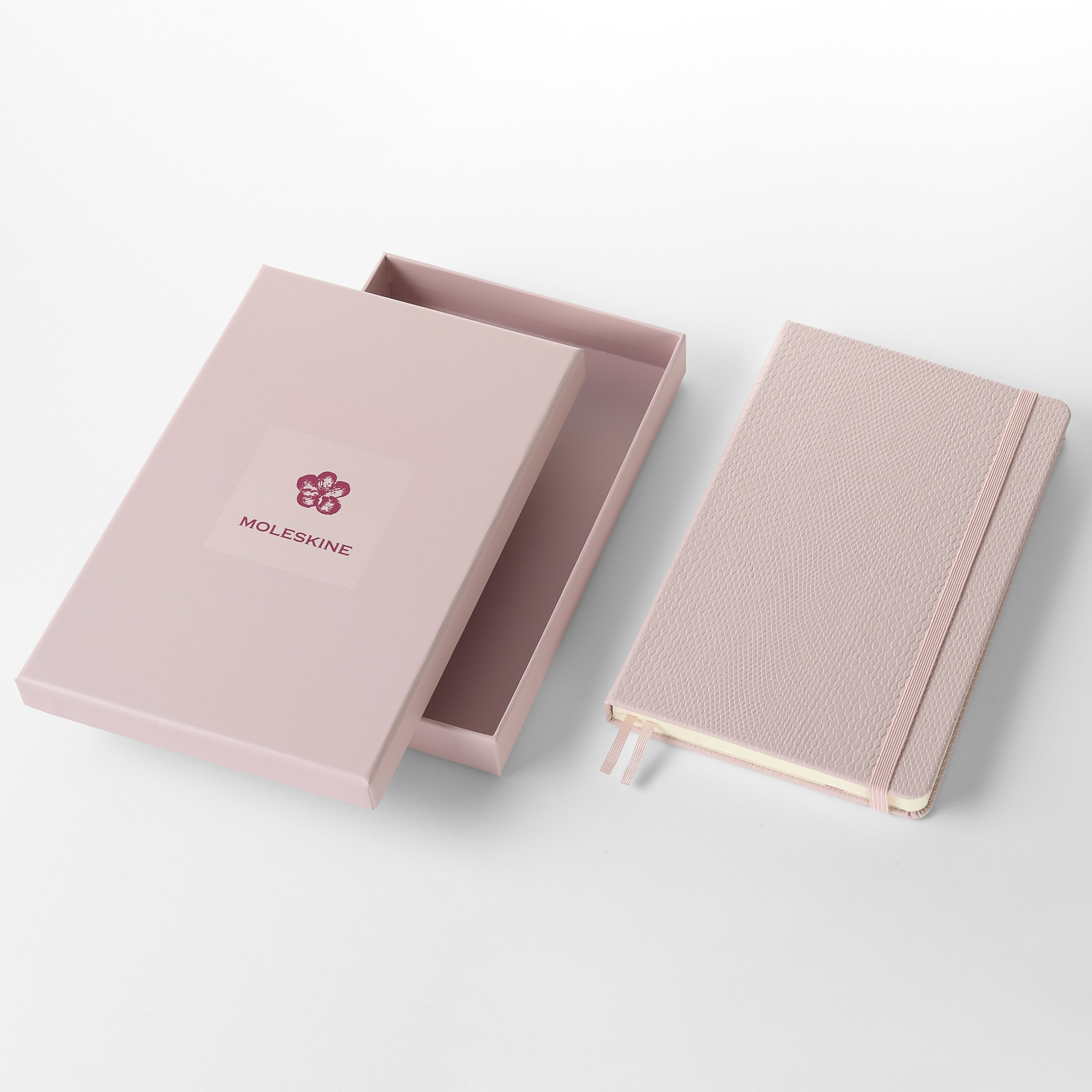 Edições Limitadas Moleskine: Colecionáveis e onde comprar