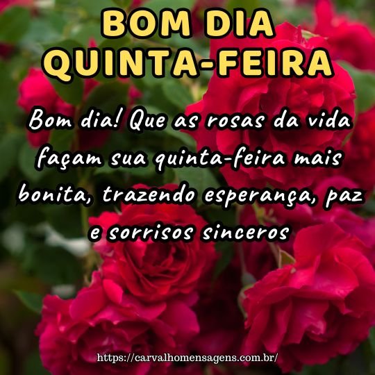 imagens de bom dia quinta-feira