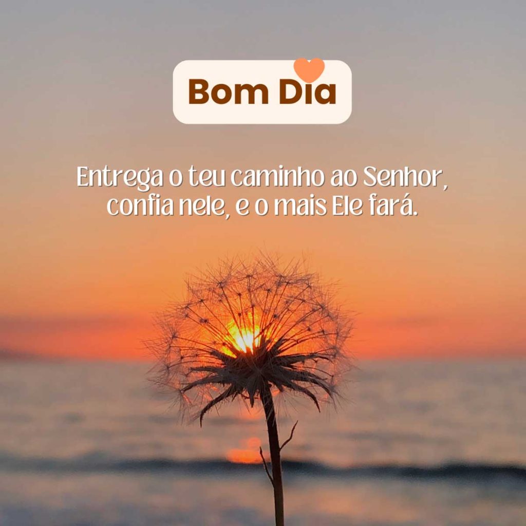 bom dia quinta-feira para status