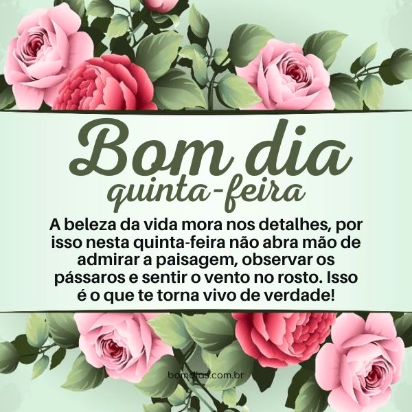 pensamentos de bom dia quinta-feira