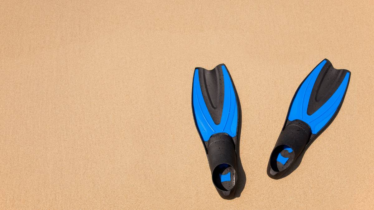 nadadeiras para natação e mergulho