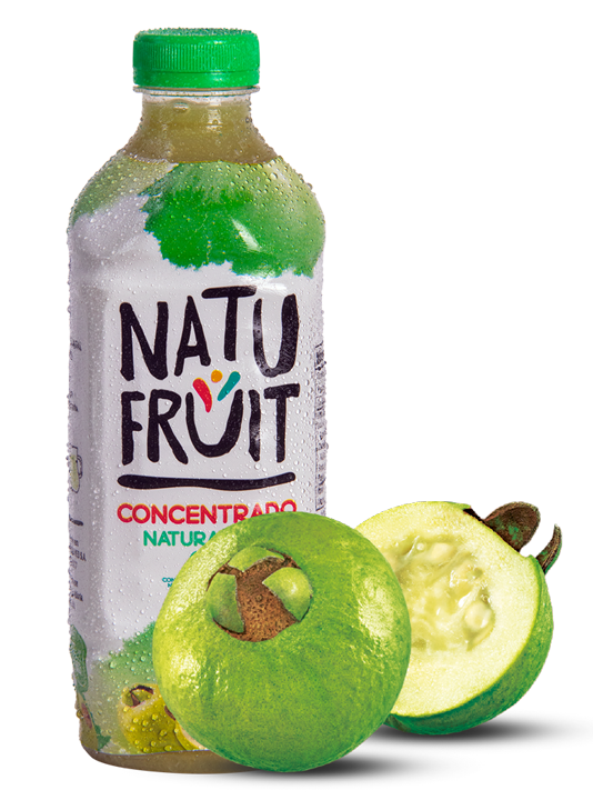 receita nata de coco