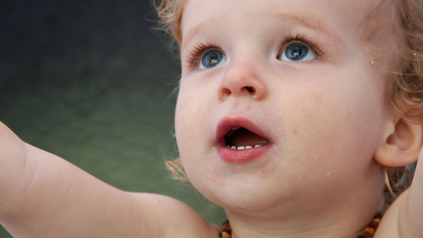 5 ideias de títulos