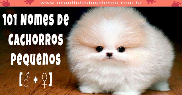 nomes de cachorro