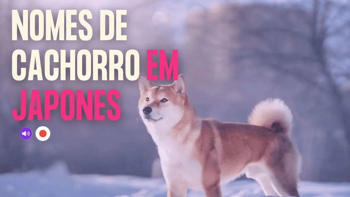 nomes de cachorro