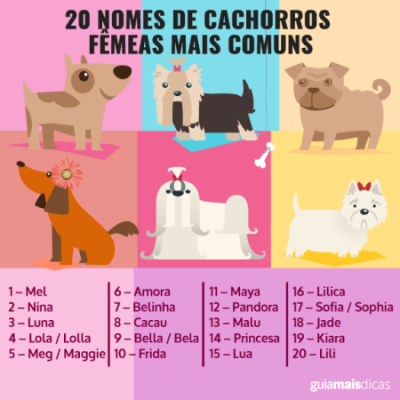 Como a personalidade do seu cão pode influenciar na escolha do nome