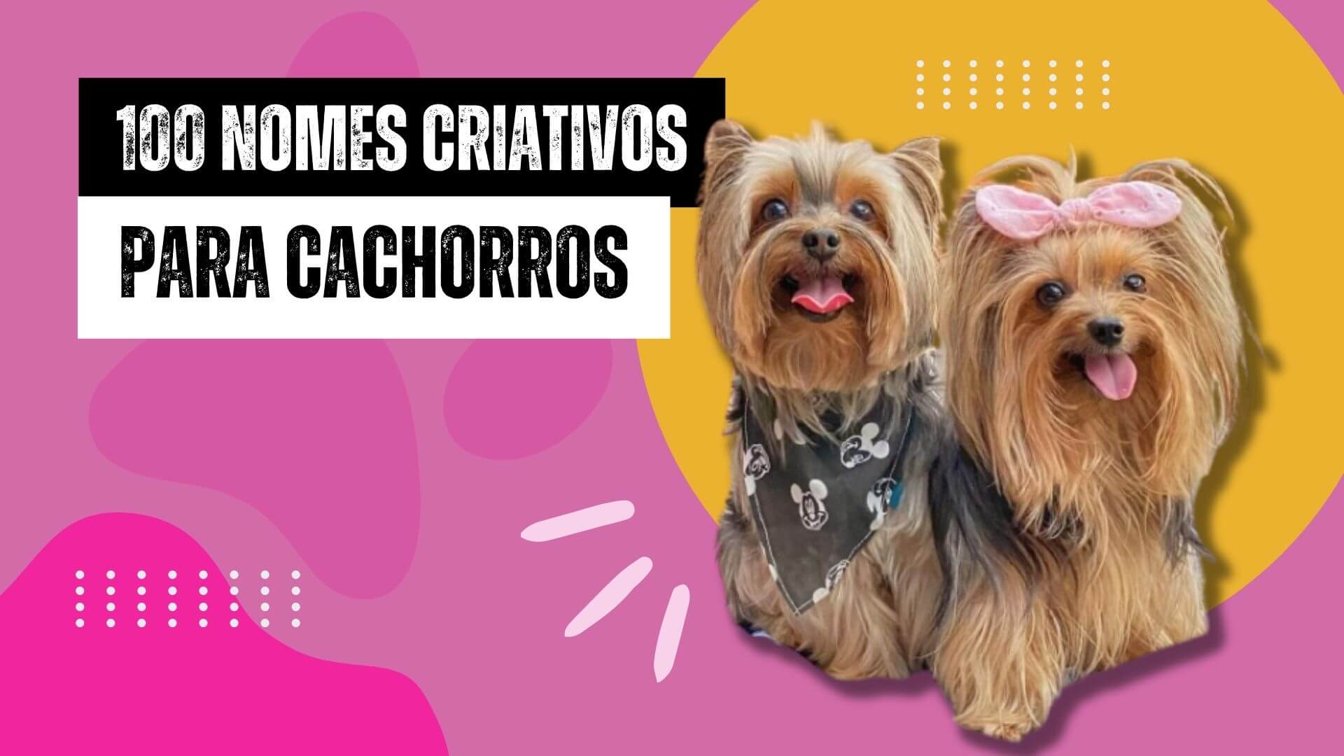 nomes de cachorro
