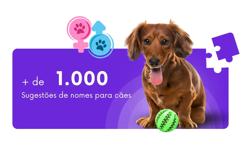 Os 50 nomes de cachorro mais curtos e fáceis de chamar