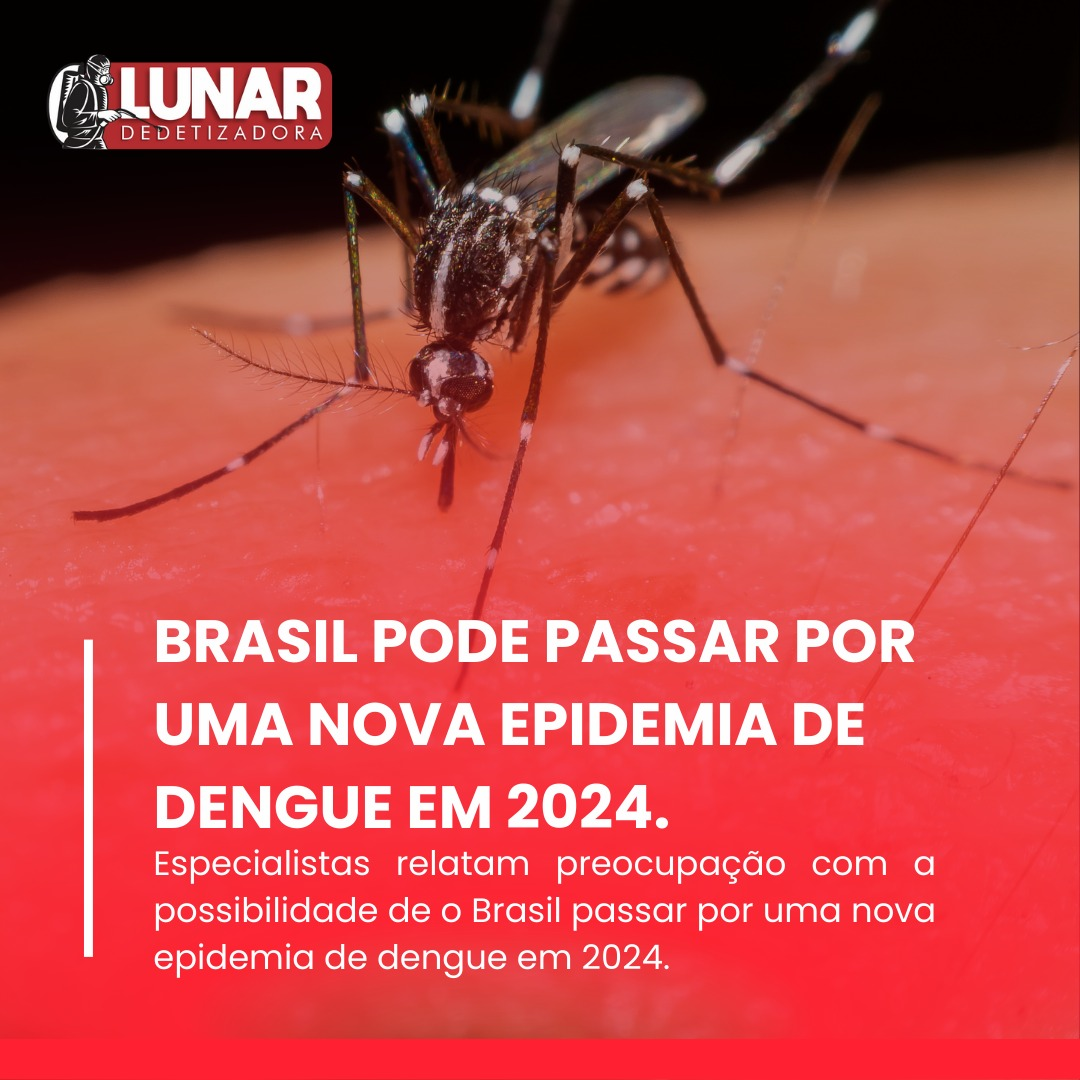 Dengue Sorotipo 3: O Que Você Precisa Saber Sobre o Retorno do DENV-3
