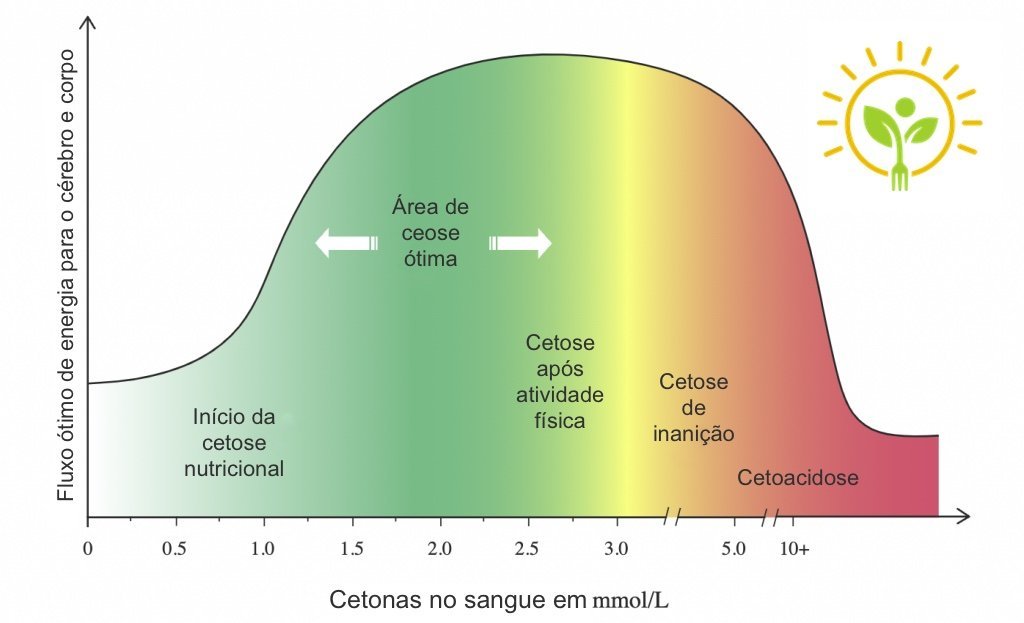 dieta cetogênica benefícios