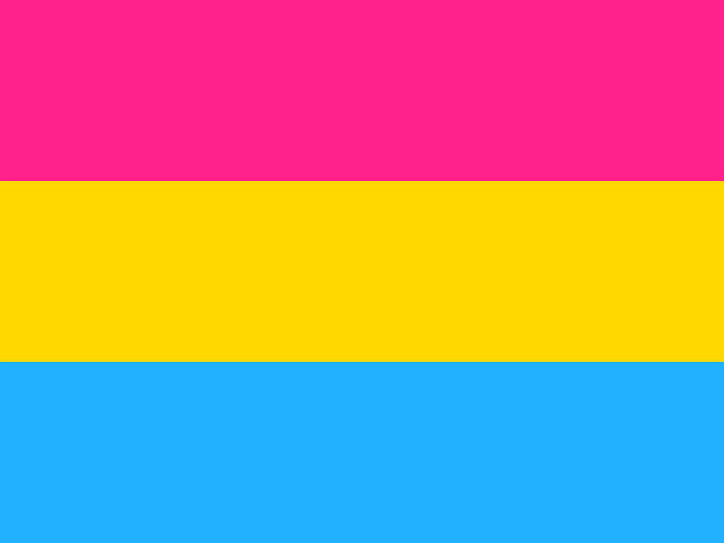 o que é pansexulidade exemplos