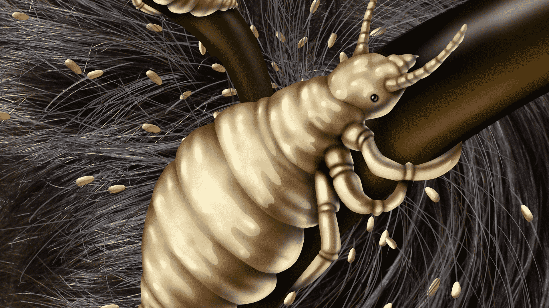 Desvendando Sonhos: Piolhos e o Significado de Ganho Financeiro