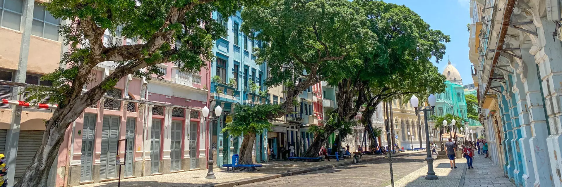 O que fazer em Recife guia cultural