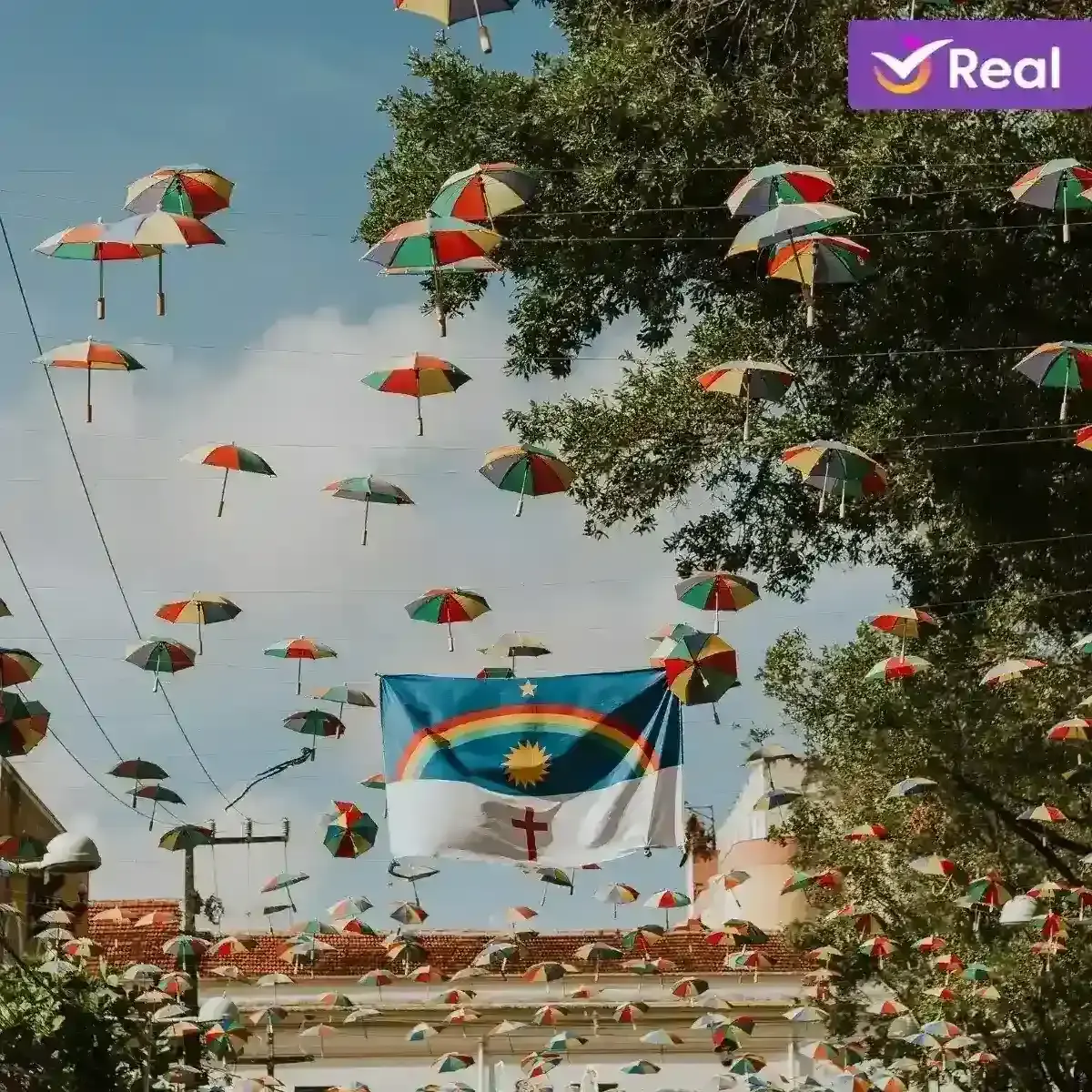 O que fazer em Recife guia cultural