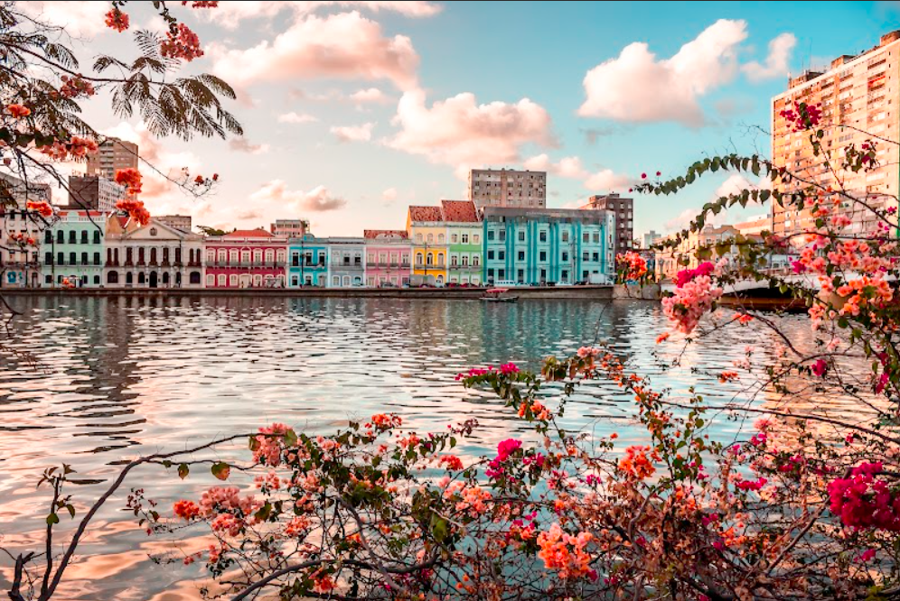 1. Roteiro Cultural Completo em Recife: Museus e Tradições
2. Descubra o Frevo: Paço do Frevo e a Alma de Pernambuco
3. Recife Antigo: Um Mergulho na História e na Arte
4. Francisco Brennand: Cerâmica e Arte em Meio à Natureza
5. Agenda Cultural Recife: Eventos Imperdíveis em Março de 2026