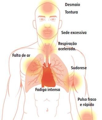 Anemia Ferropriva: Causas, Diagnóstico e Tratamento