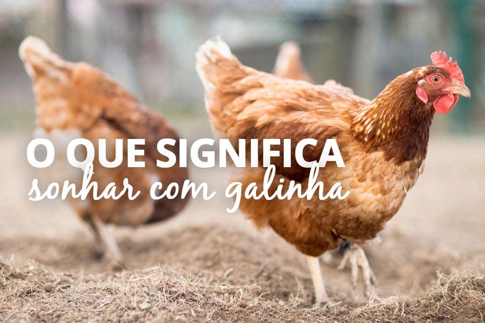 o que significa sonhar com galinha e seus pintinhos