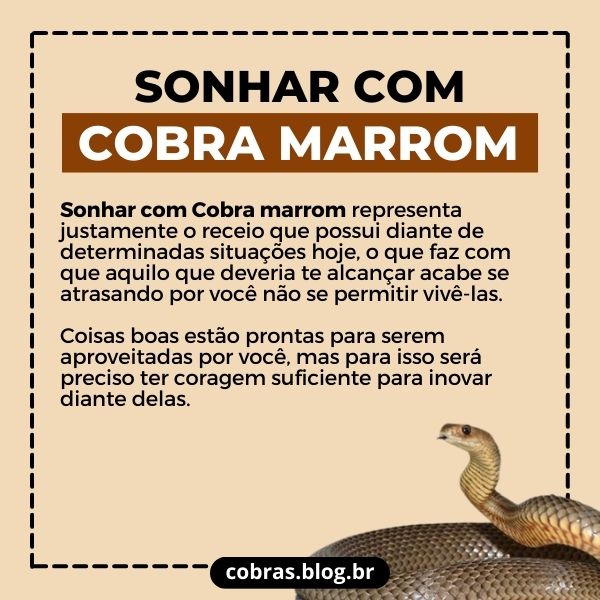 O Significado Espiritual de Sonhar com Múltiplas Serpentes