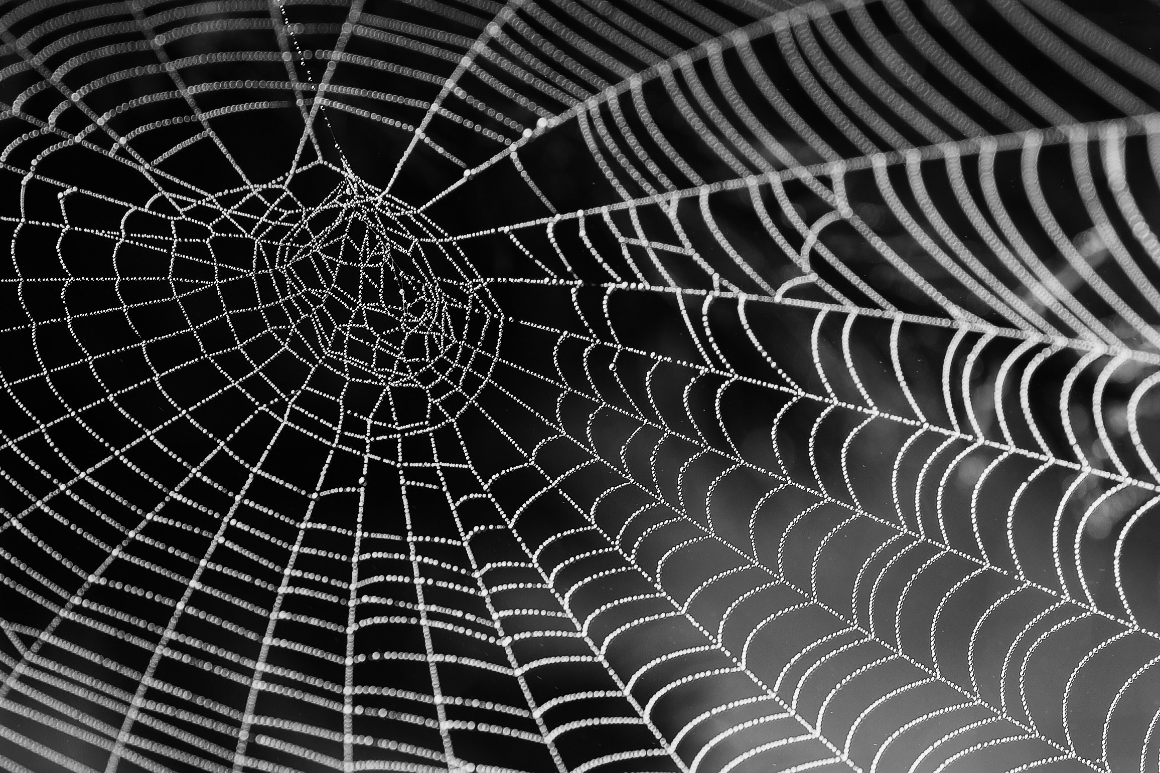simbolismo aranha tatuagem
