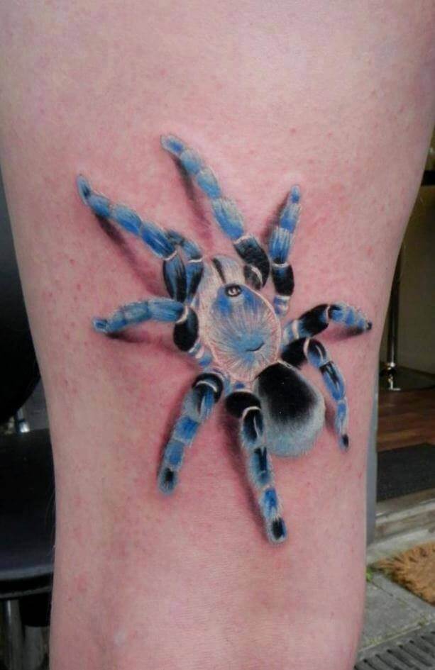 tatuagem aranha espiritual