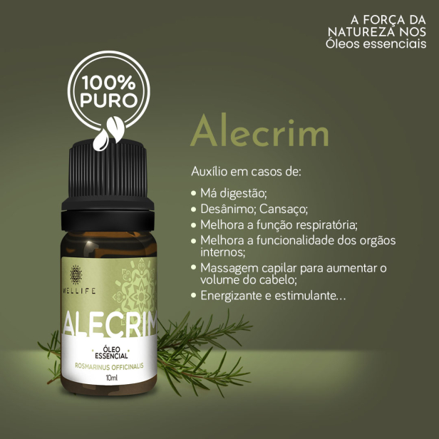 Os Benefícios do Óleo de Alecrim que Você Precisa Conhecer para o Cabelo