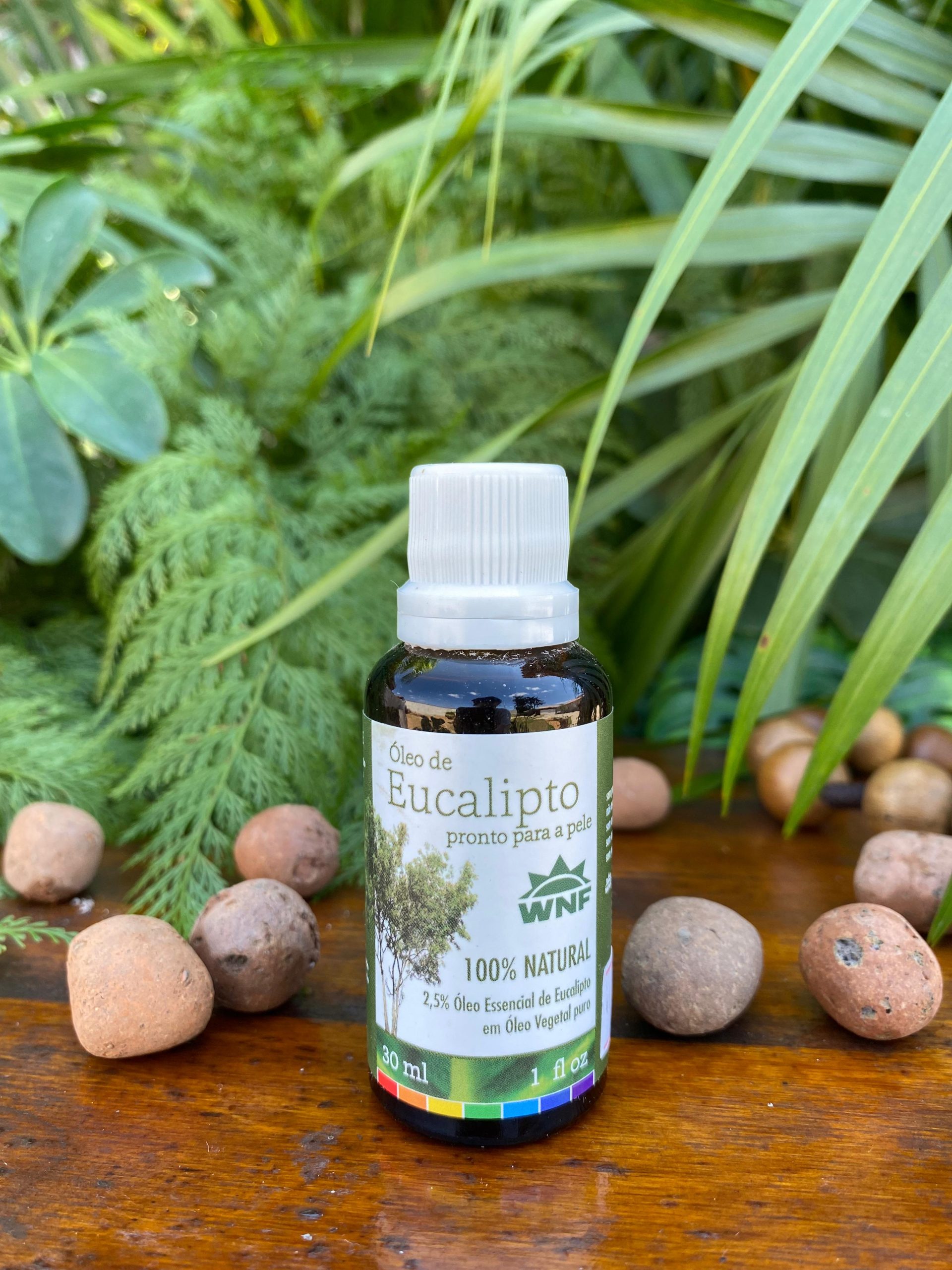 Guia Completo: Como Escolher o Óleo Essencial de Eucalipto Ideal para Você