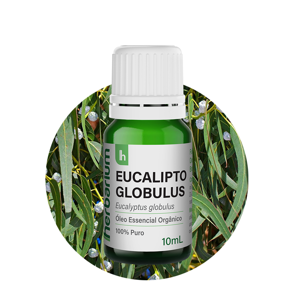 Eucalipto Globulus vs. Radiata: Qual o Melhor Óleo Essencial para Crianças e Adultos?